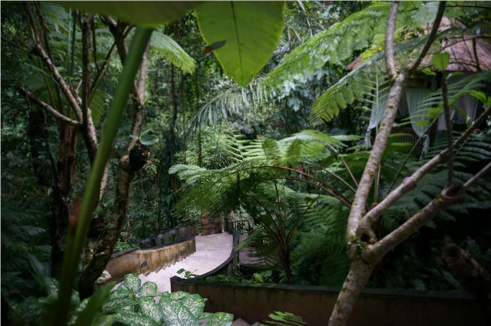 Alam Ubud Culture Villas & Residences Main image